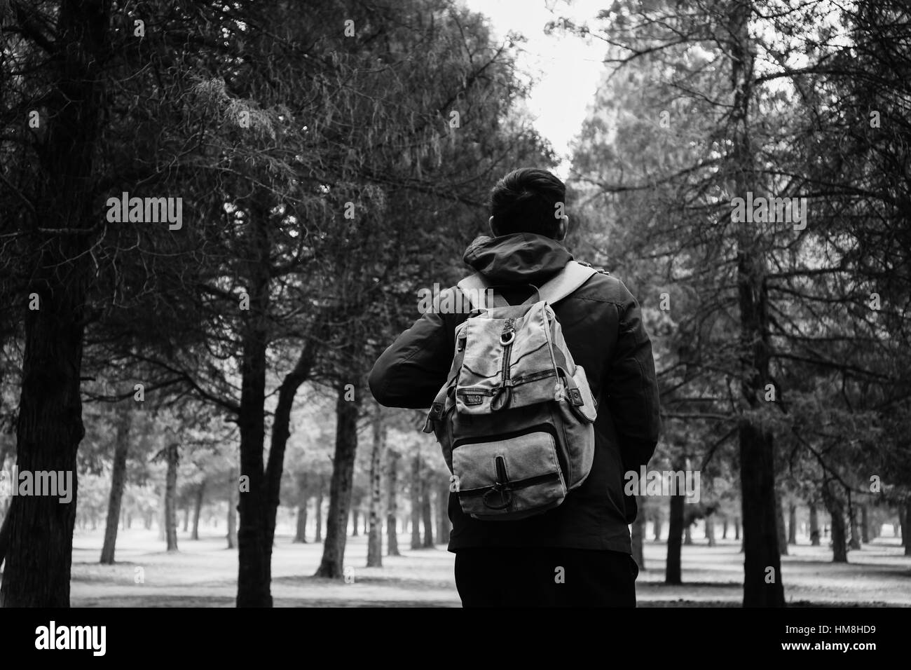 Jeune voyageur trekking dans les bois avec sac à dos le long du chemin (noir et blanc) Banque D'Images