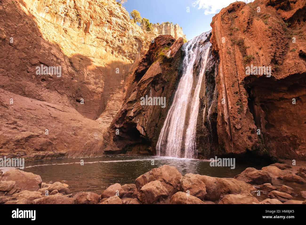 Sources Oum er Rbia, Aguelmam Azigza- Parc National, Maroc Banque D'Images