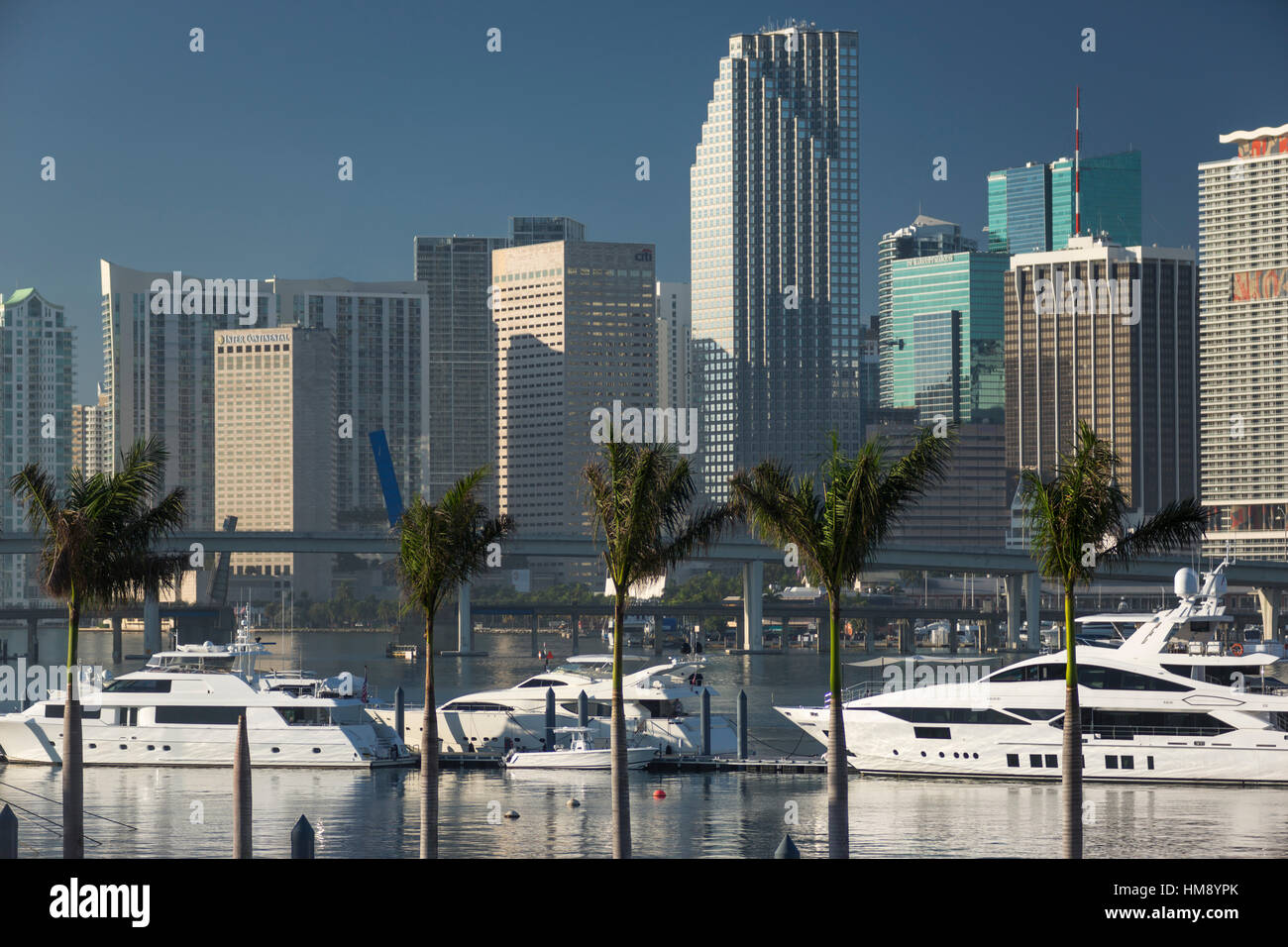 SUPERYATCHS AMARRÉ AU PORT DE PLAISANCE JARDINS DE L'ÎLE DE WATSON ISLAND CENTRE-VILLE MIAMI FLORIDA USA Banque D'Images