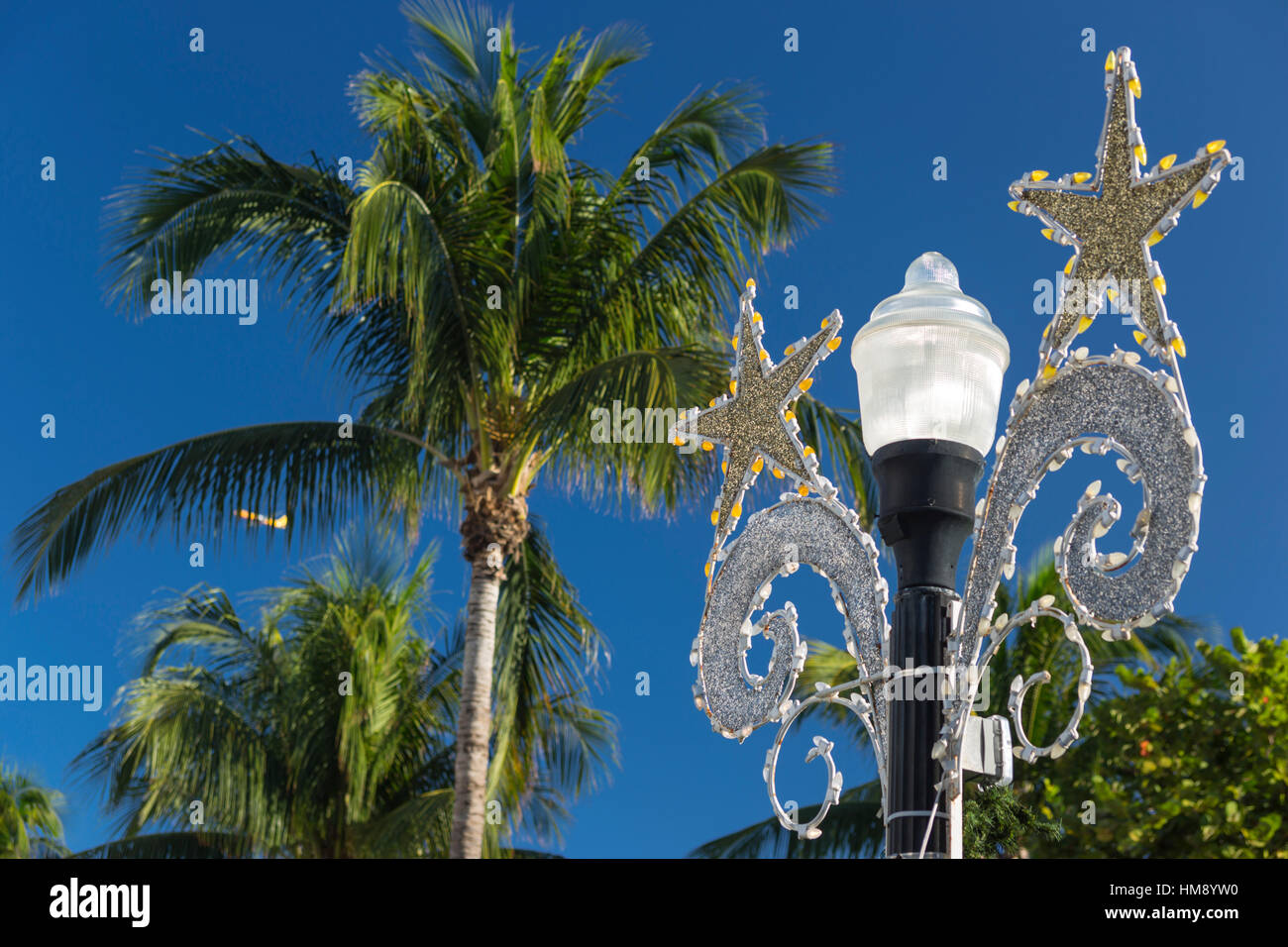 Palmiers DÉCORATIONS DE NOËL LAMPE RUE OCEAN DRIVE SOUTH BEACH MIAMI BEACH FLORIDE USA Banque D'Images