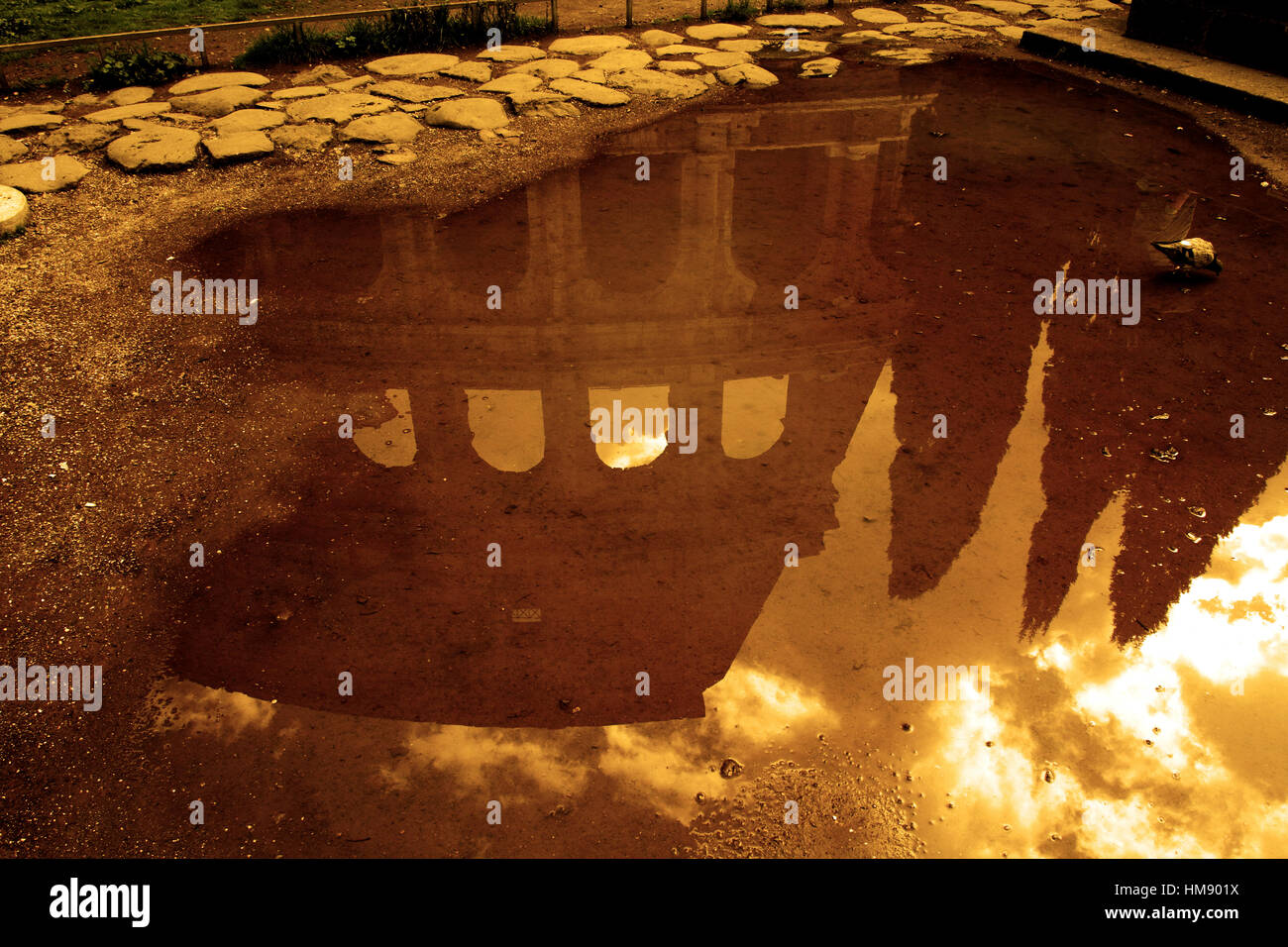 Roma, Italia - il Colosseo riflesso dans una pozzanghera Banque D'Images