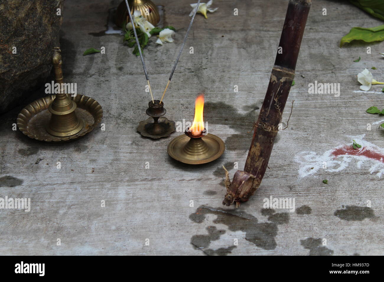 Pongal festival de l'Inde Banque D'Images