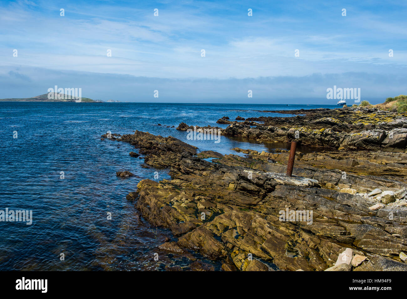 Vue sur l'île de la carcasse, des îles Malouines, l'Amérique du Sud Banque D'Images