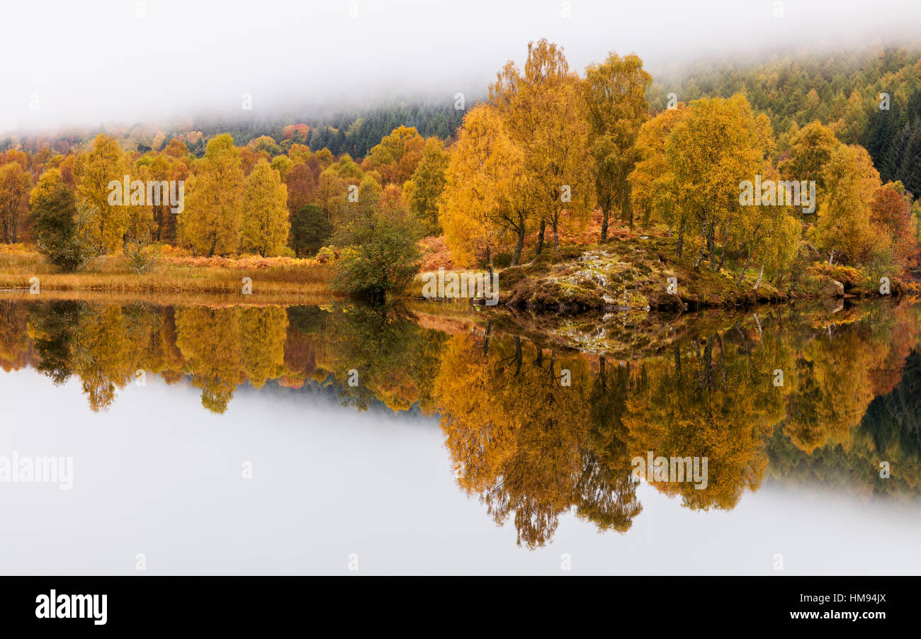 La couleur d'or de l'automne avec les arbres et le brouillard reflète dans Loch Tummel, Pitlochry, Perthshire, Écosse, Royaume-Uni Banque D'Images