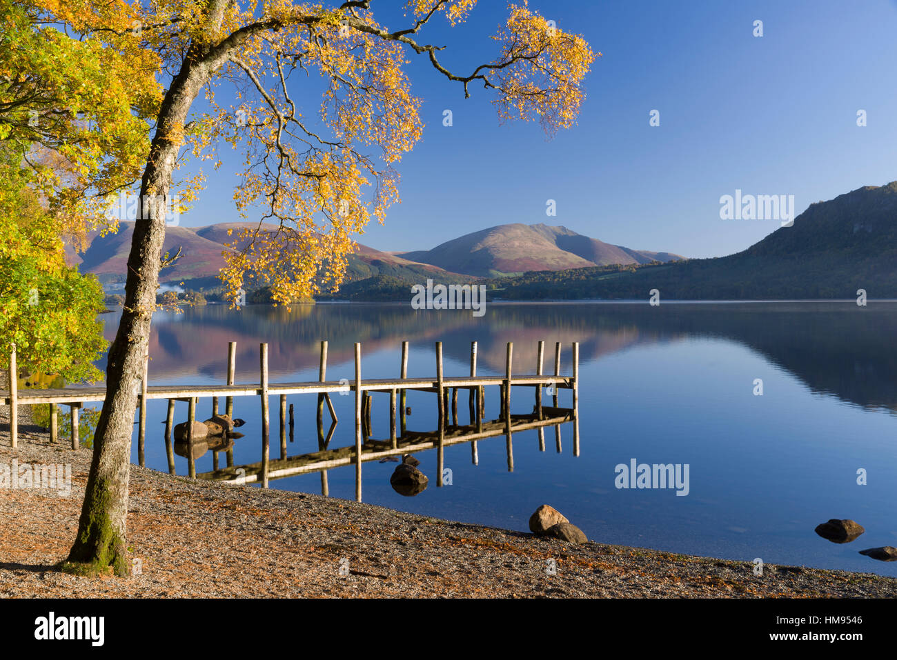 Soleil d'automne plus Brandlehow, Borrowdale, le Parc National du Lake District, Cumbria, Angleterre, Royaume-Uni Banque D'Images