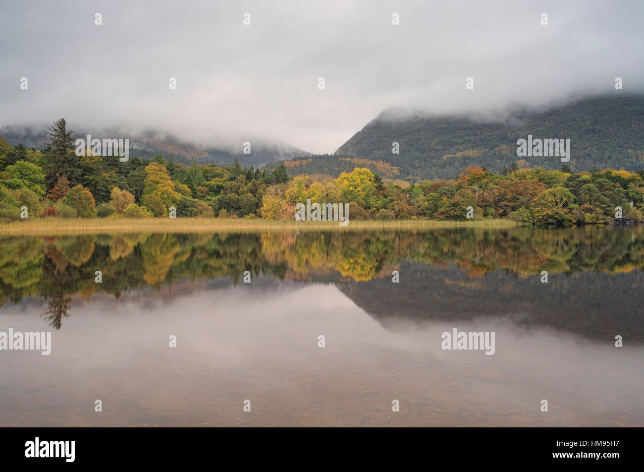 Muckross Lake, Killatney National Park, comté de Kerry, Munster, République d'Irlande Banque D'Images