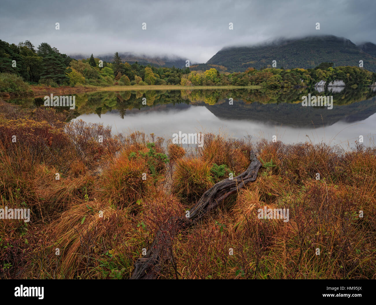 Muckross Lake, Killatney National Park, comté de Kerry, Munster, République d'Irlande Banque D'Images