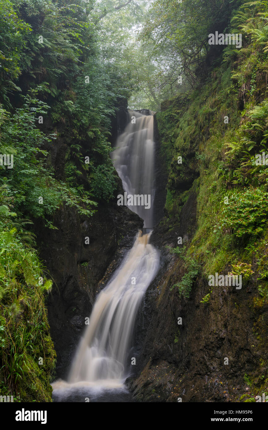 Ess Na Larach, Glenarriff, comté d'Antrim, l'Ulster (Irlande du Nord, Royaume-Uni Banque D'Images
