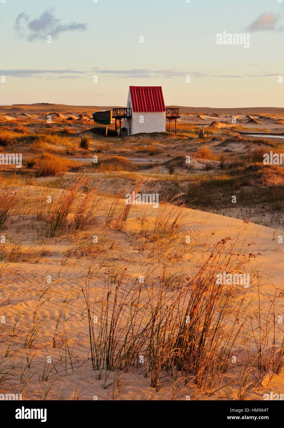 Lever du soleil sur les dunes, Cabo Polonio, Rocha, Ministère de l'Uruguay, Amérique du Sud Banque D'Images