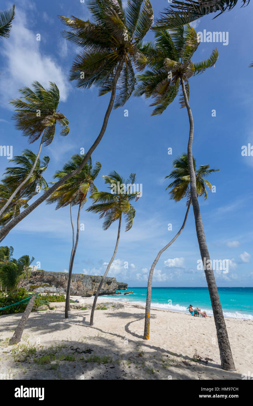 Bas Bay, Saint Philip, Barbade, Antilles, Caraïbes, Amérique Centrale Banque D'Images