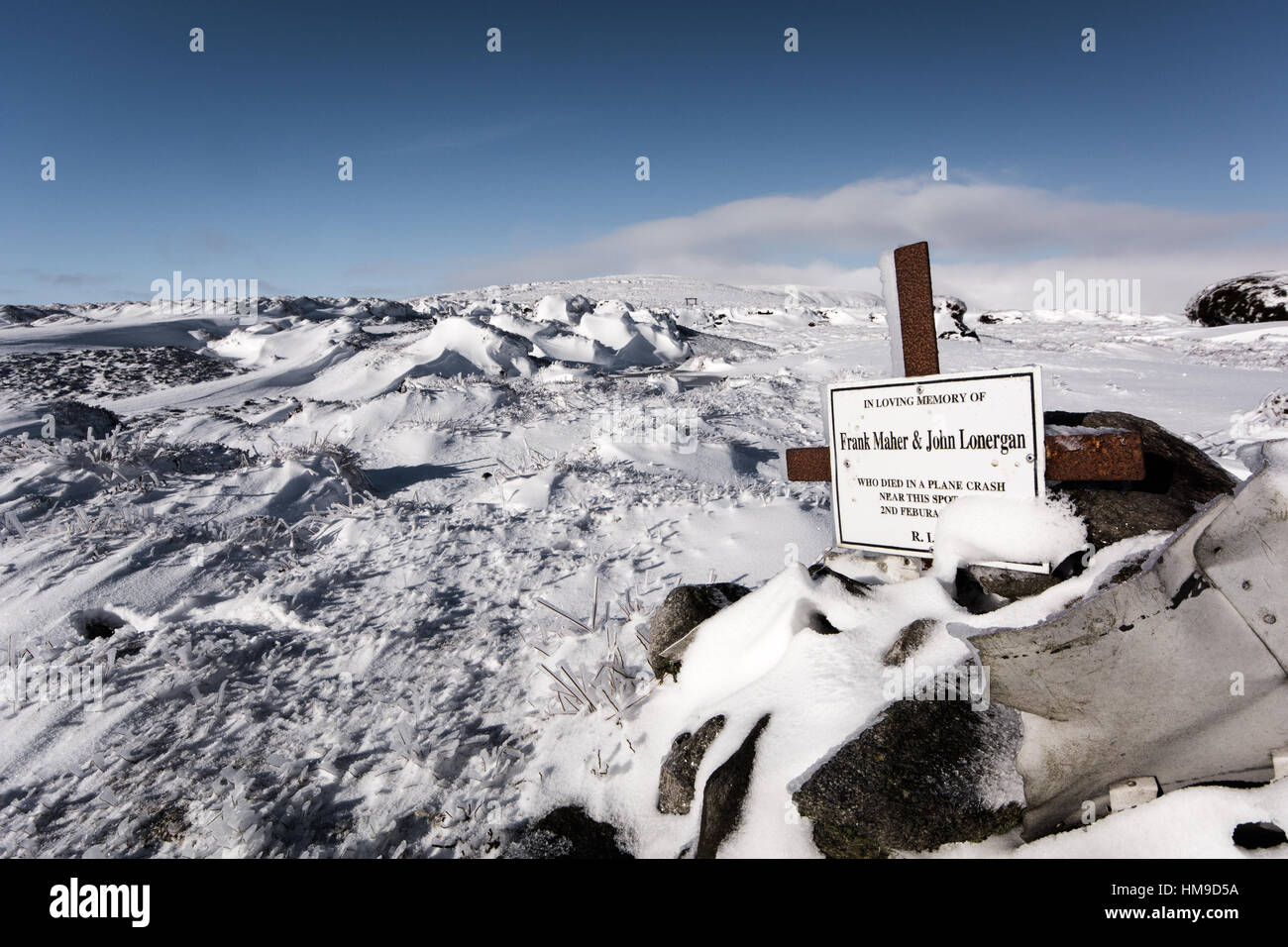 dans la neige de l’hiver Banque D'Images