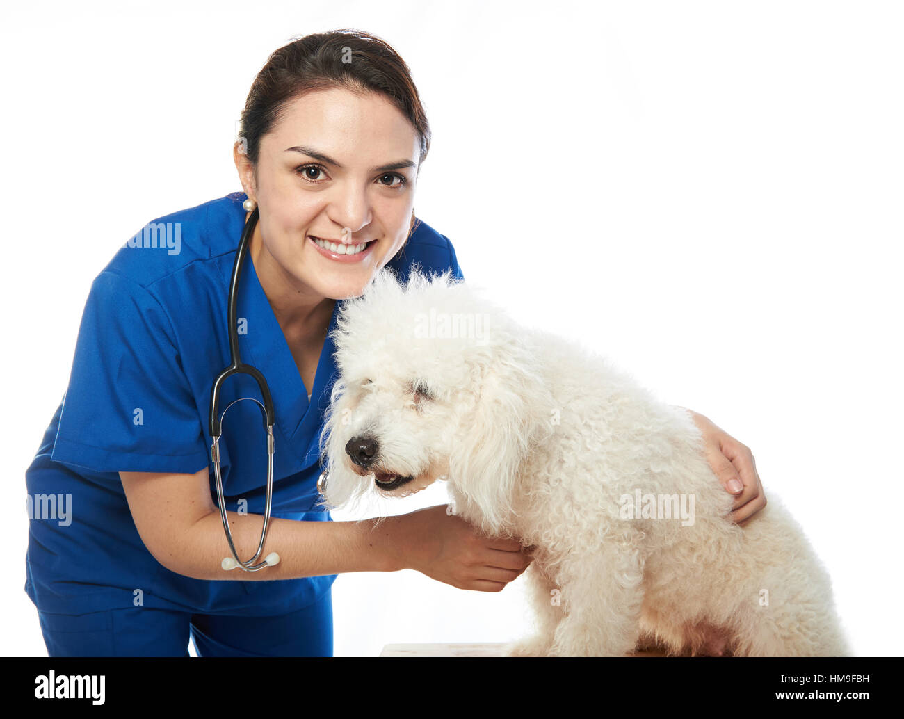 Femme vétérinaire avec un chien caniche français sur un fond blanc Banque D'Images