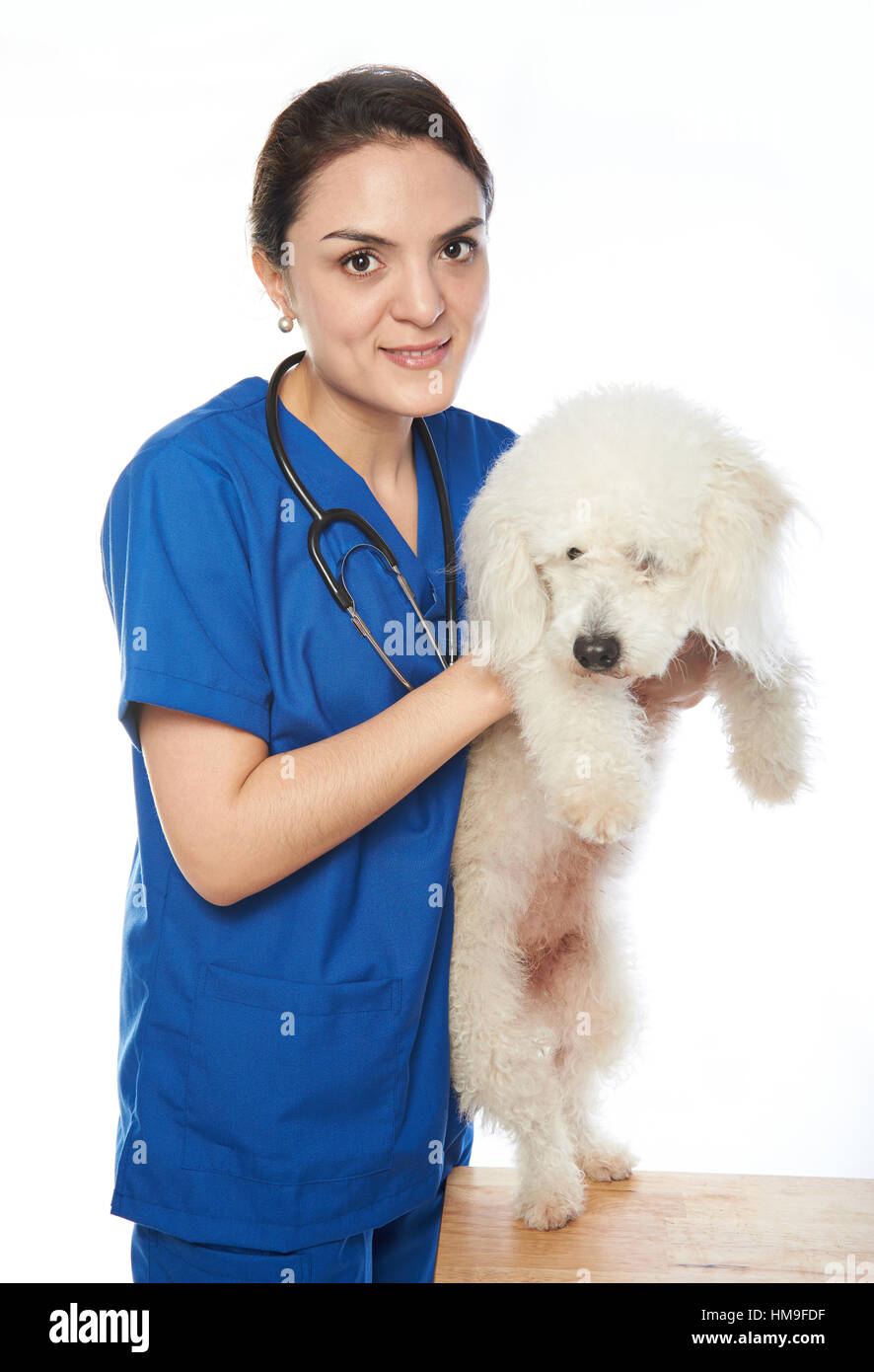 Fille vétérinaire contrôle d'un chien blanc sur fond blanc Banque D'Images