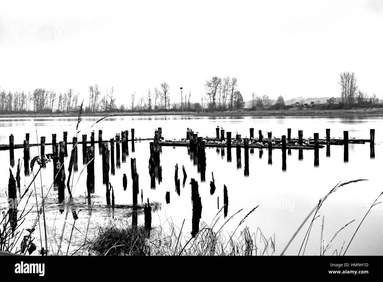 Vue très paisible atterrissage impériale à Steveston Heritage Village de pêcheurs 2, Richmond.Canada Banque D'Images