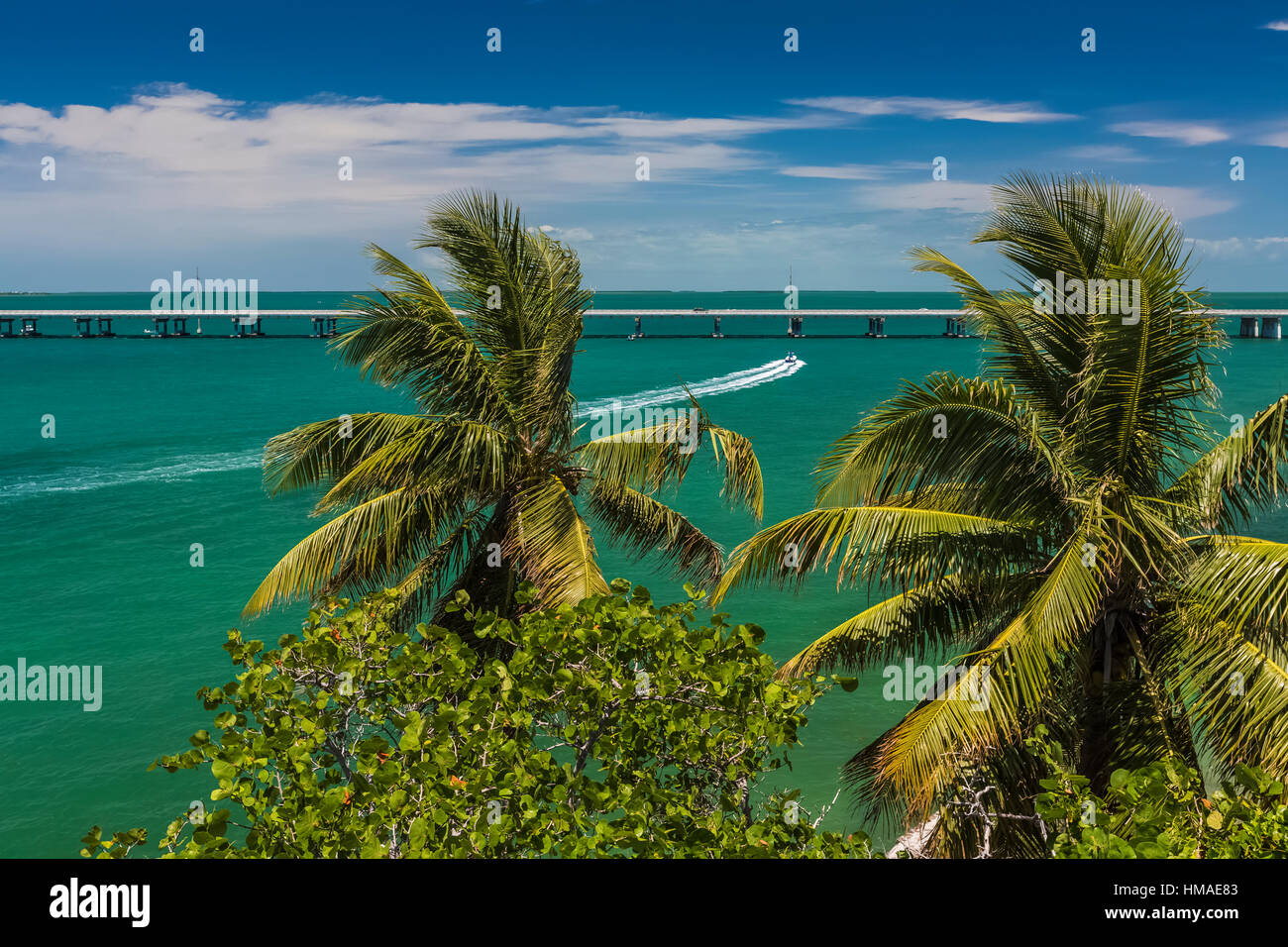Donnant sur le golfe du Mexique de Bahia Honda, palmiers dans le vent, à Bahia Honda State Park, Florida Keys, USA Banque D'Images