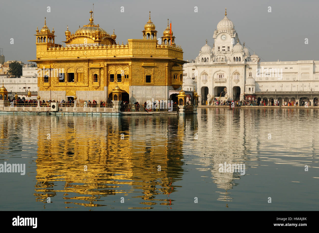 L'Inde, d'Amritsar - 30 novembre : Pèlerins priant au temple d'Or (Sri Harimandir Sahib), Amritsar en Novembre 30, 2010 Banque D'Images