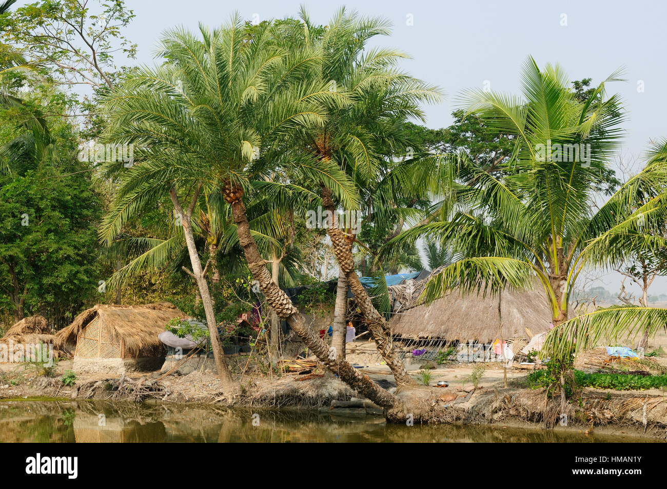 Les maisons du village dans le delta du Gange en Inde Banque D'Images