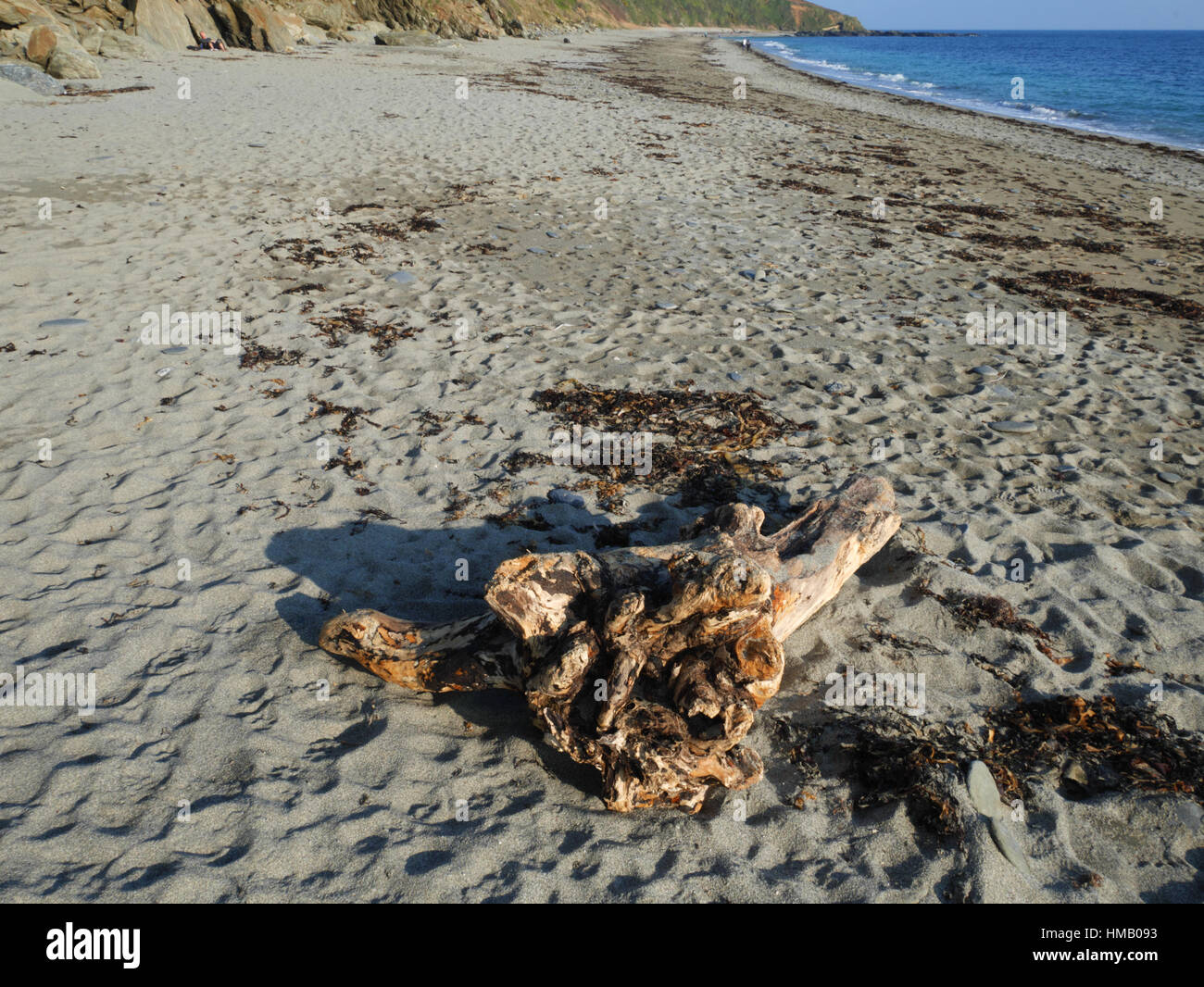 Driftwood, Vault, Gorran Haven, Cornwall. Banque D'Images