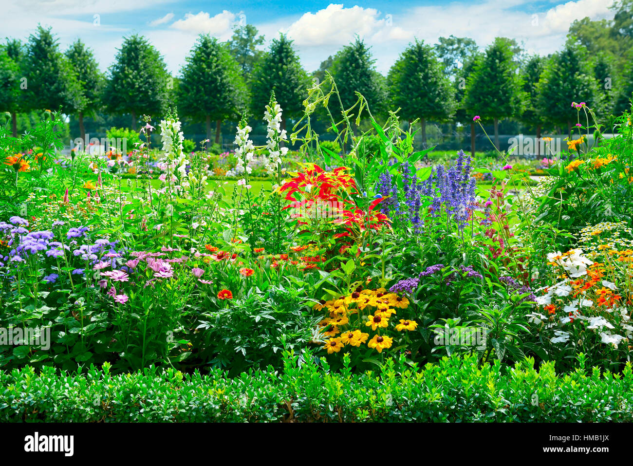 Parterre de fleurs dans le parc Banque D'Images