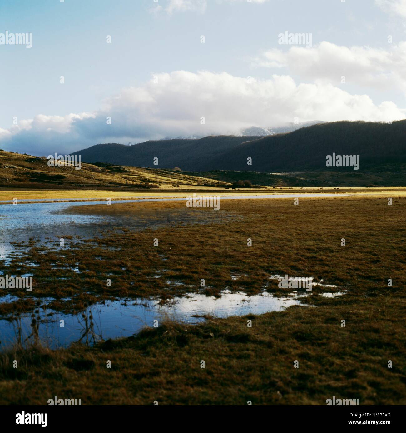 Milieu humide sur le Rocche plateau, parc régional Sirente-Velino, Abruzzo, Italie. Banque D'Images