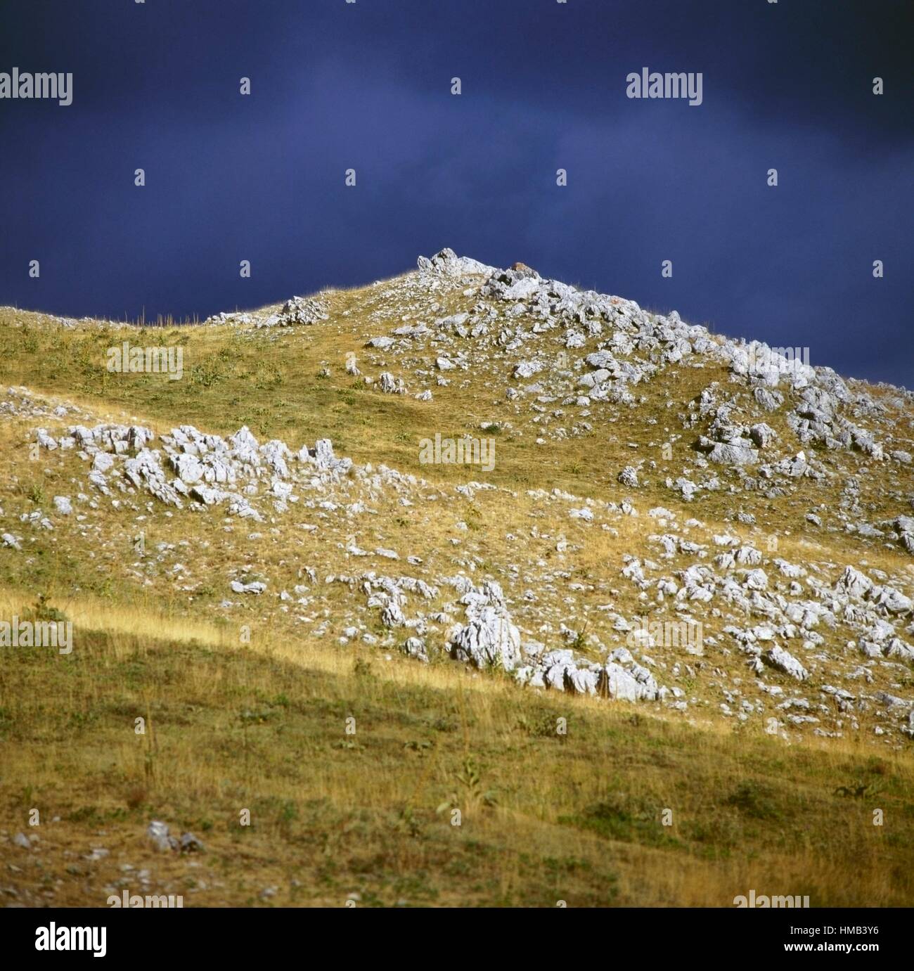 Pente d'herbe et de rochers, avec des nuages sombres à l'arrière-plan, le Mont Sirente, parc régional Sirente-Velino, Abruzzo, Italie. Banque D'Images