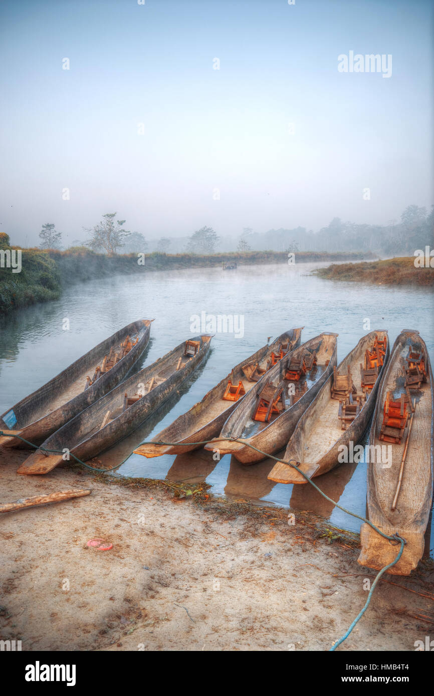 Parc national de Chitwan. Le parc est de 932 km2, est principalement couvert de jungle. Banque D'Images