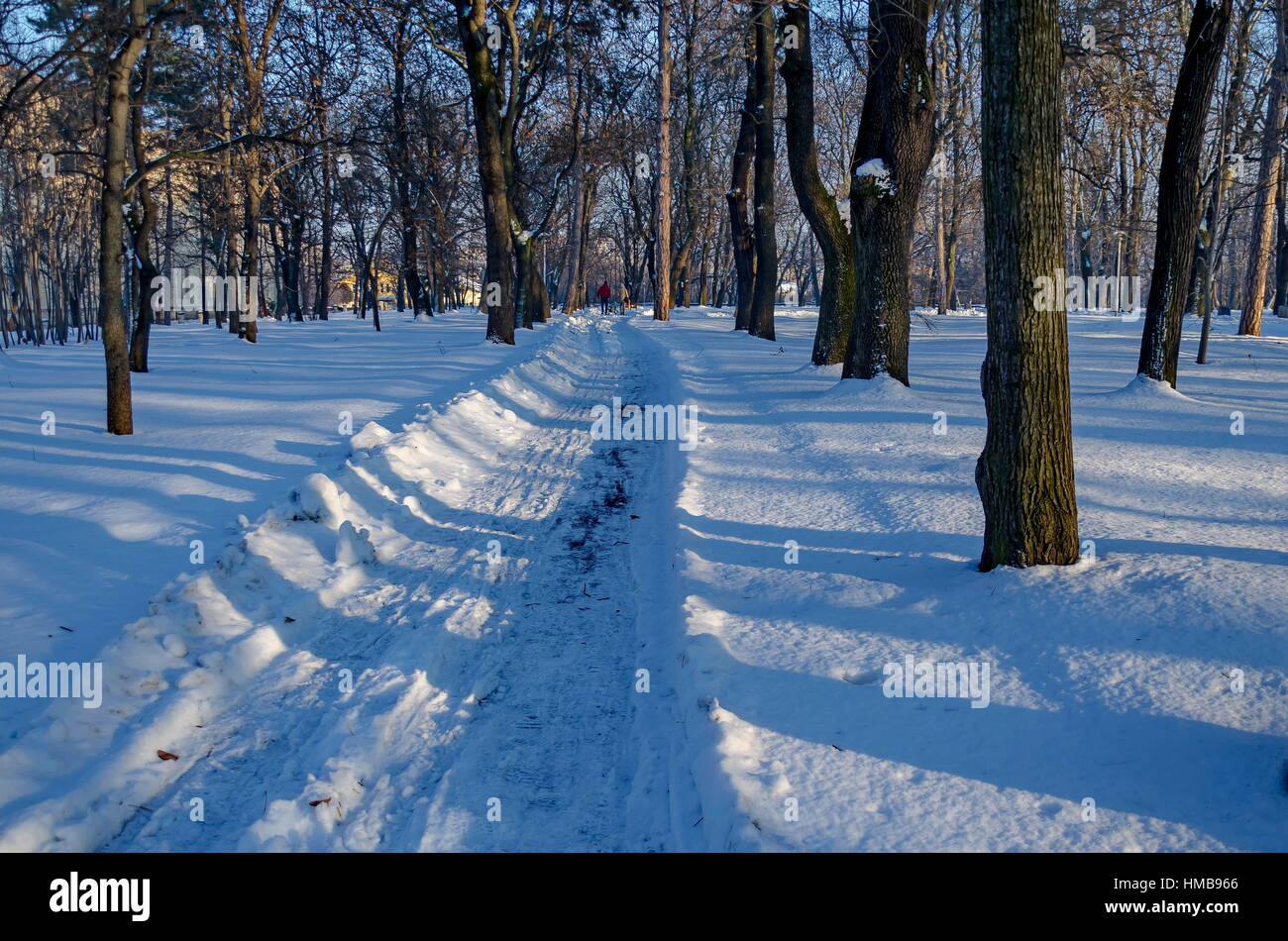 Récemment pelle hiver walk in park, Sofia, Bulgarie Banque D'Images