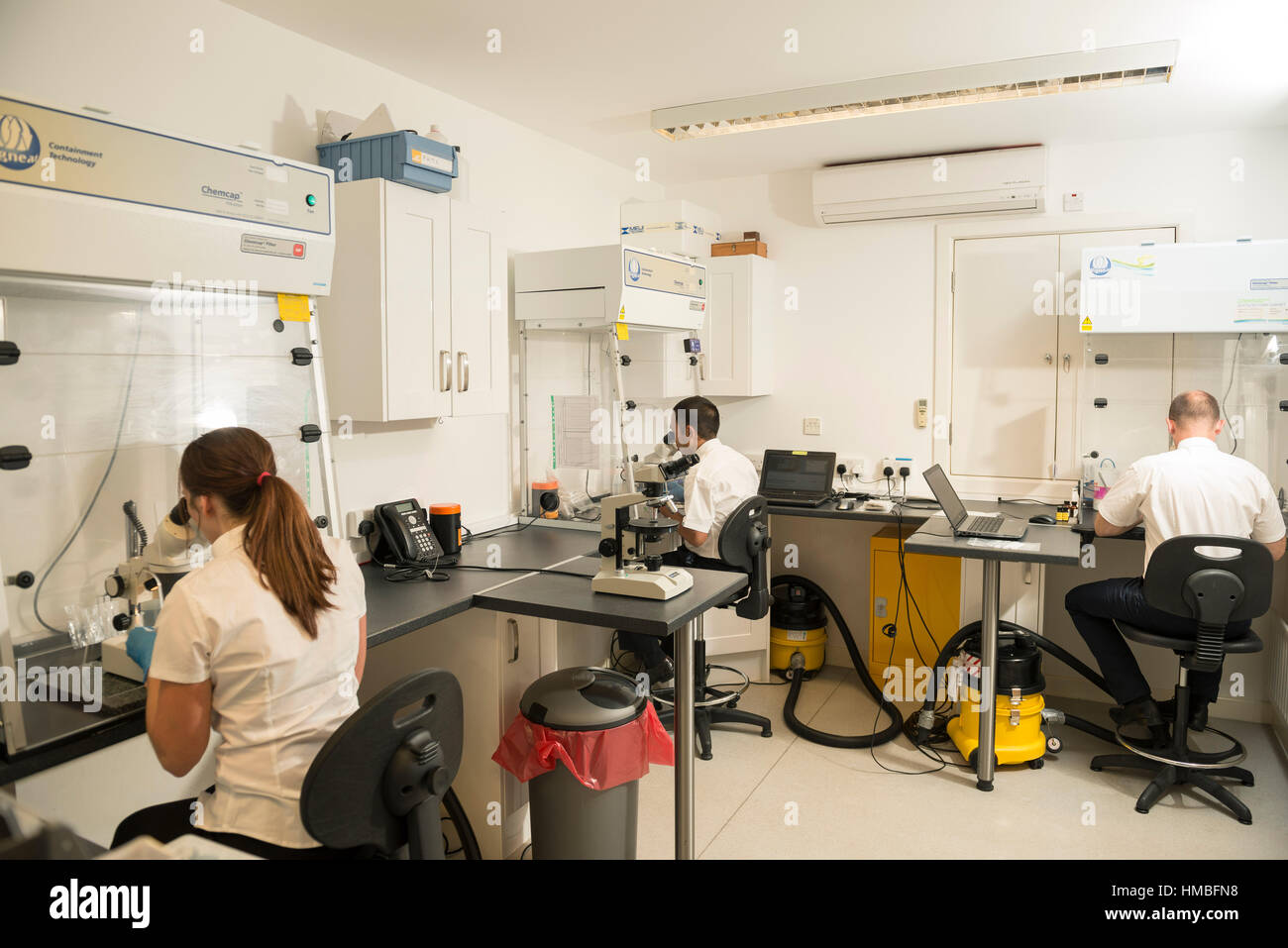 Santé et la sécurité des techniciens de laboratoire vérifier des immeubles et des propriétés sur les dangers pour l'environnement, tels que l'amiante et de la qualité de l'eau avec équipement correct Banque D'Images