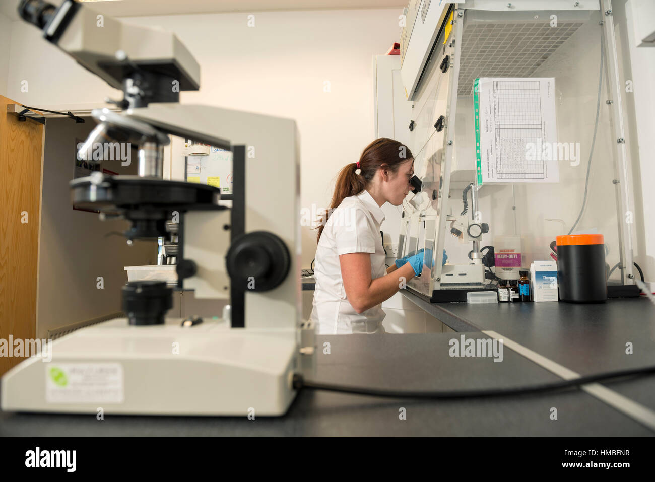 Santé et la sécurité des techniciens de laboratoire vérifier des immeubles et des propriétés sur les dangers pour l'environnement, tels que l'amiante et de la qualité de l'eau avec équipement correct Banque D'Images
