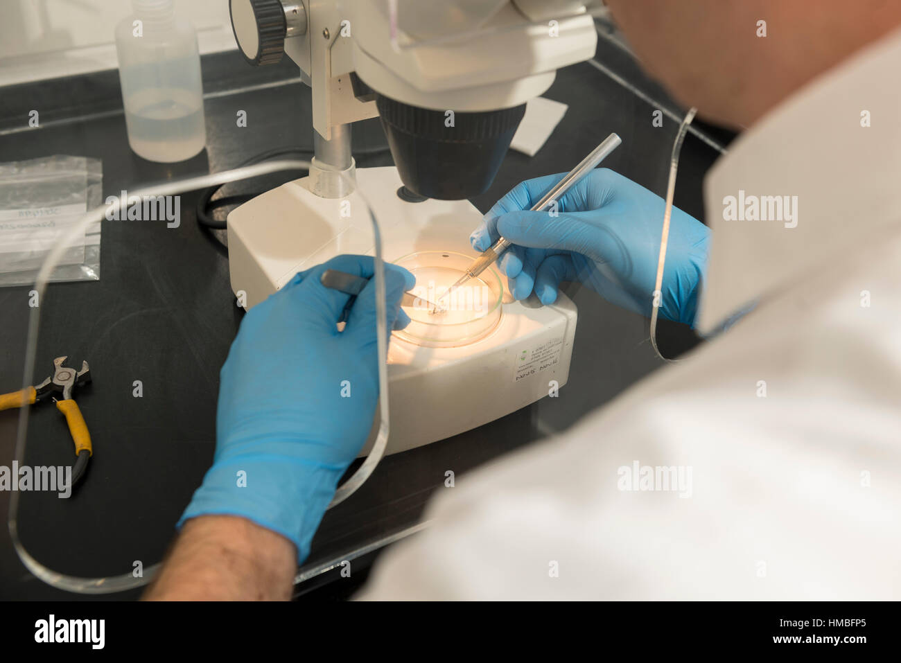 Santé et la sécurité des techniciens de laboratoire vérifier des immeubles et des propriétés sur les dangers pour l'environnement, tels que l'amiante et de la qualité de l'eau avec équipement correct Banque D'Images