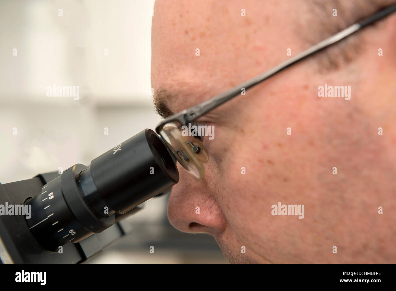 Santé et la sécurité des techniciens de laboratoire vérifier des immeubles et des propriétés sur les dangers pour l'environnement, tels que l'amiante et de la qualité de l'eau avec équipement correct Banque D'Images