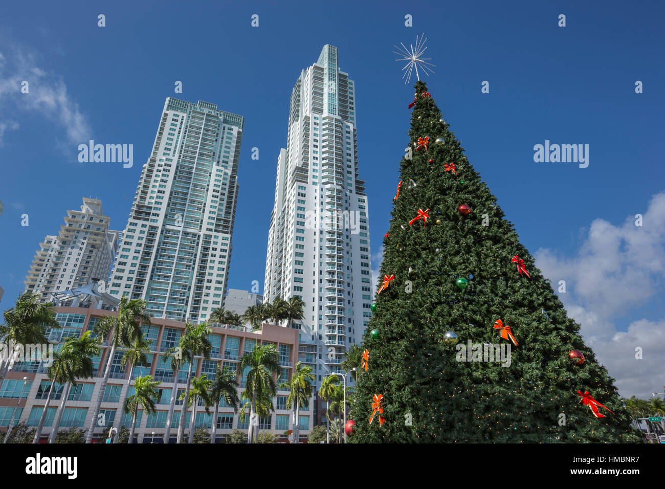 Arbre de Noël DU CENTRE VILLE PARC BAYFRONT MIAMI FLORIDA USA Banque D'Images