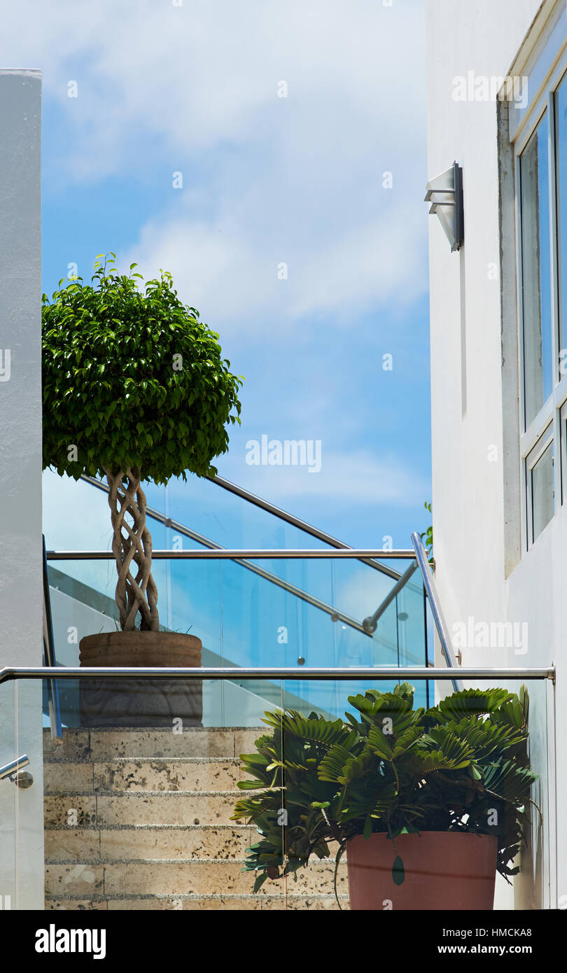 Verre vide balcon fleuri dans grande maison Banque D'Images