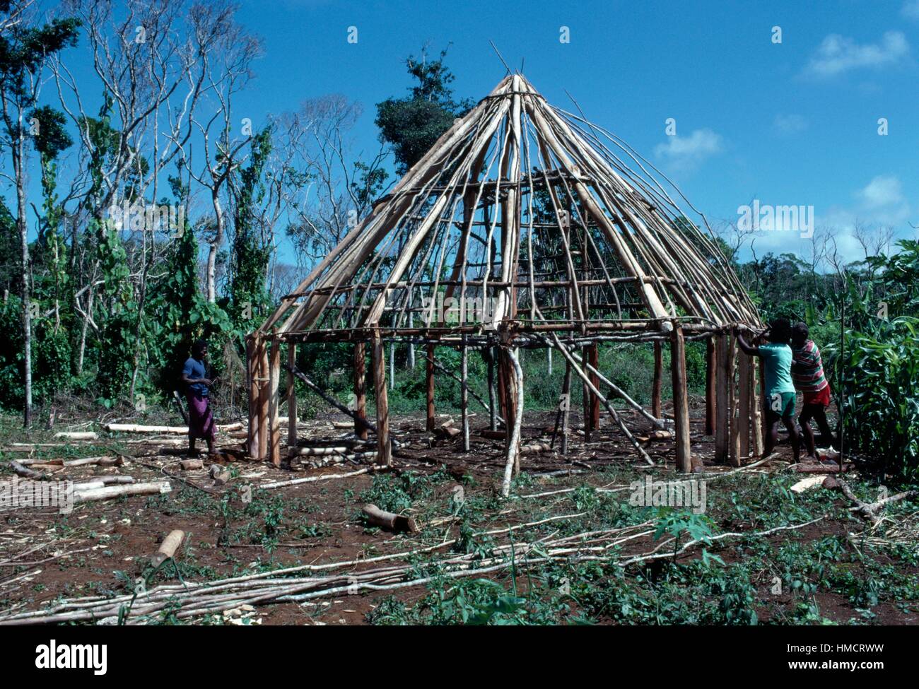 La construction d'une cabane, Lifou, Îles Loyauté, Nouvelle-Calédonie, territoire français d'outre-mer. Banque D'Images