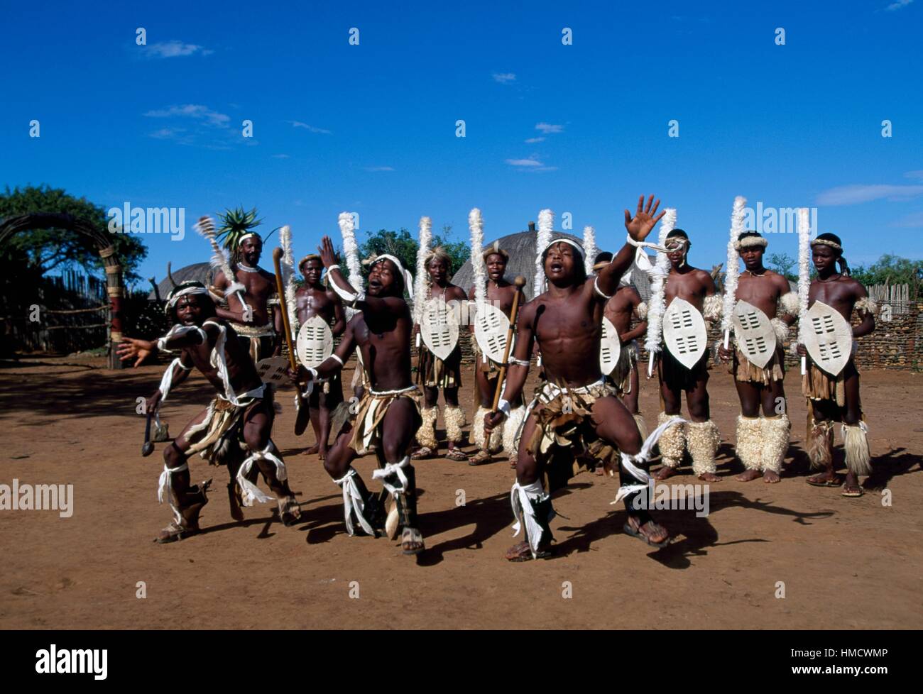 Zulu hommes lors d'une danse traditionnelle, Ngoma, village zoulou, KwaZulu-Natal, Afrique du Sud. Banque D'Images