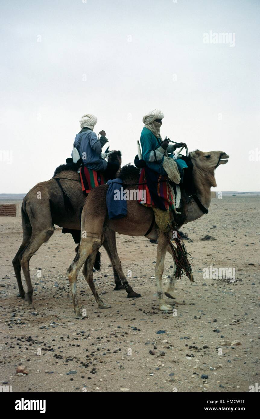Un homme touareg sur Camelback, Tassili N'Ajjer, Sahara, Algérie. Banque D'Images