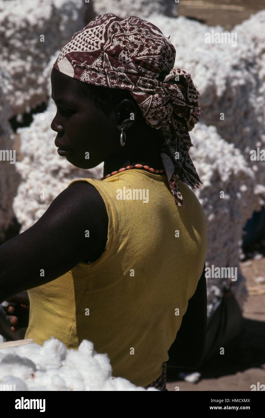 Une femme pendant la récolte du coton dans la région de Maroua, Cameroun. Banque D'Images