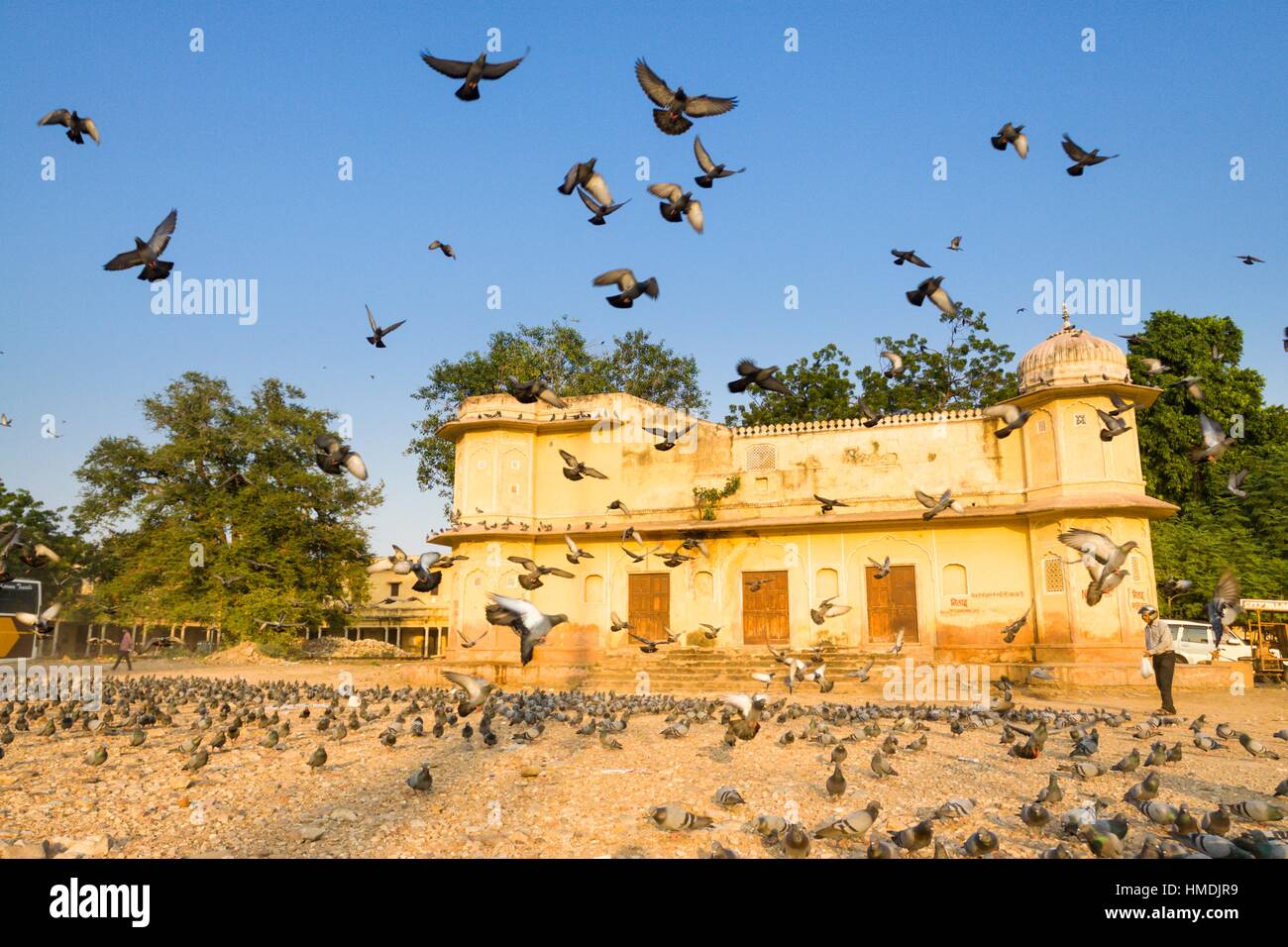 Jaipur foot india Banque de photographies et d'images à haute résolution -  Alamy