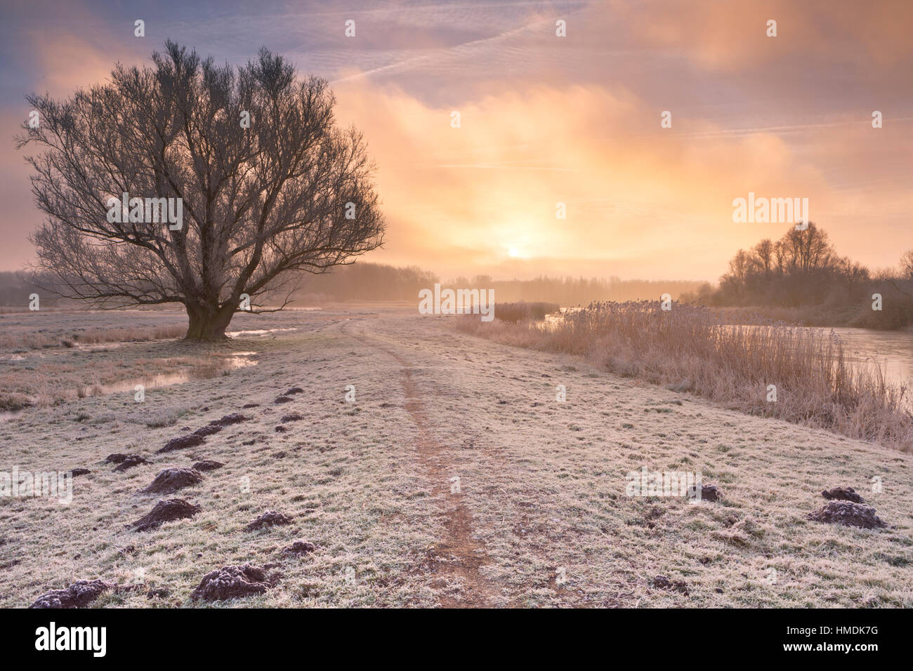 Un brouillard lever du soleil sur un paysage gelé juste au nord d'Amsterdam aux Pays-Bas. Banque D'Images