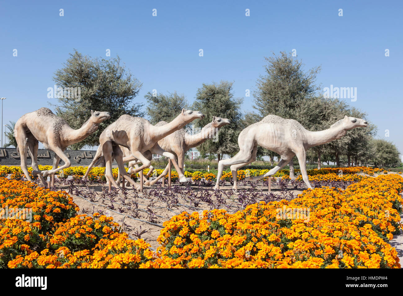 Course de chameaux statue au Dubai Camel Race Course. Emirats Arabes Unis, Moyen Orient Banque D'Images
