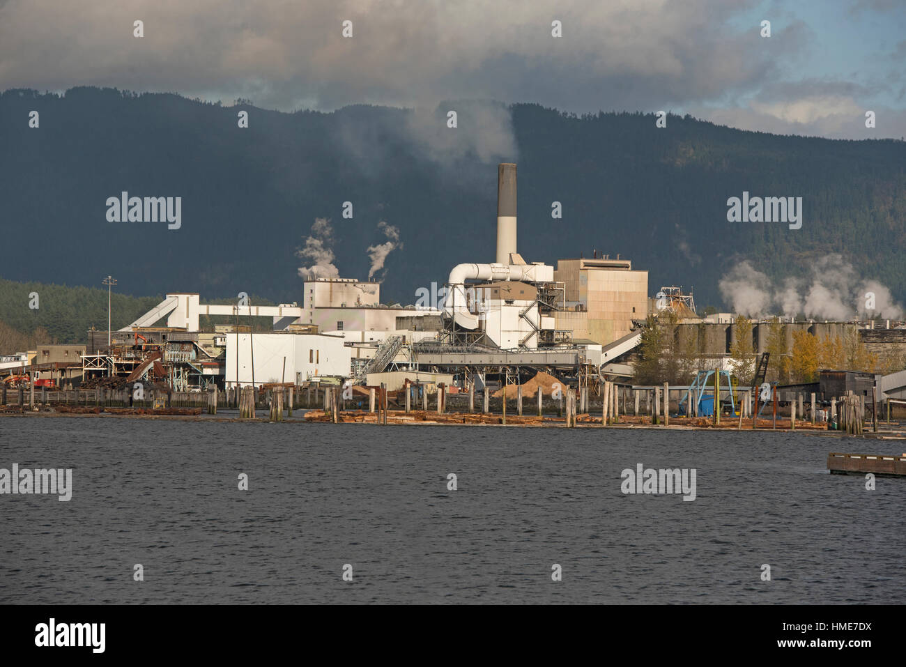 L'usine de transformation du bois l'exploitation forestière à Port Alberni, l'île de Vancouver. Le Canada. 11 756 SCO. Banque D'Images