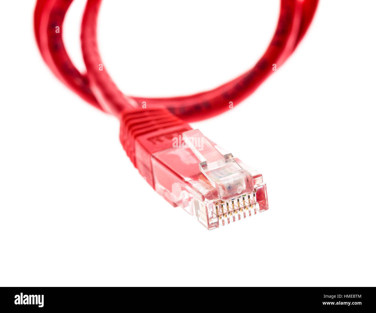 Câble UTP réseau rouge avec connecteur RJ45 isolé sur blanc. Réseaux de Télécommunication matériel de connexion de l'ordinateur. Banque D'Images