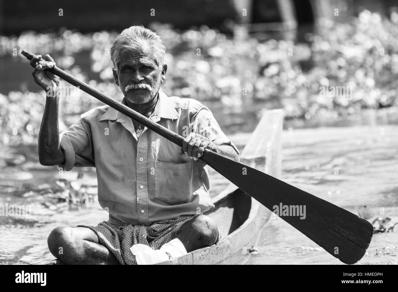La vie dans les Backwaters, Kerala, Inde Banque D'Images