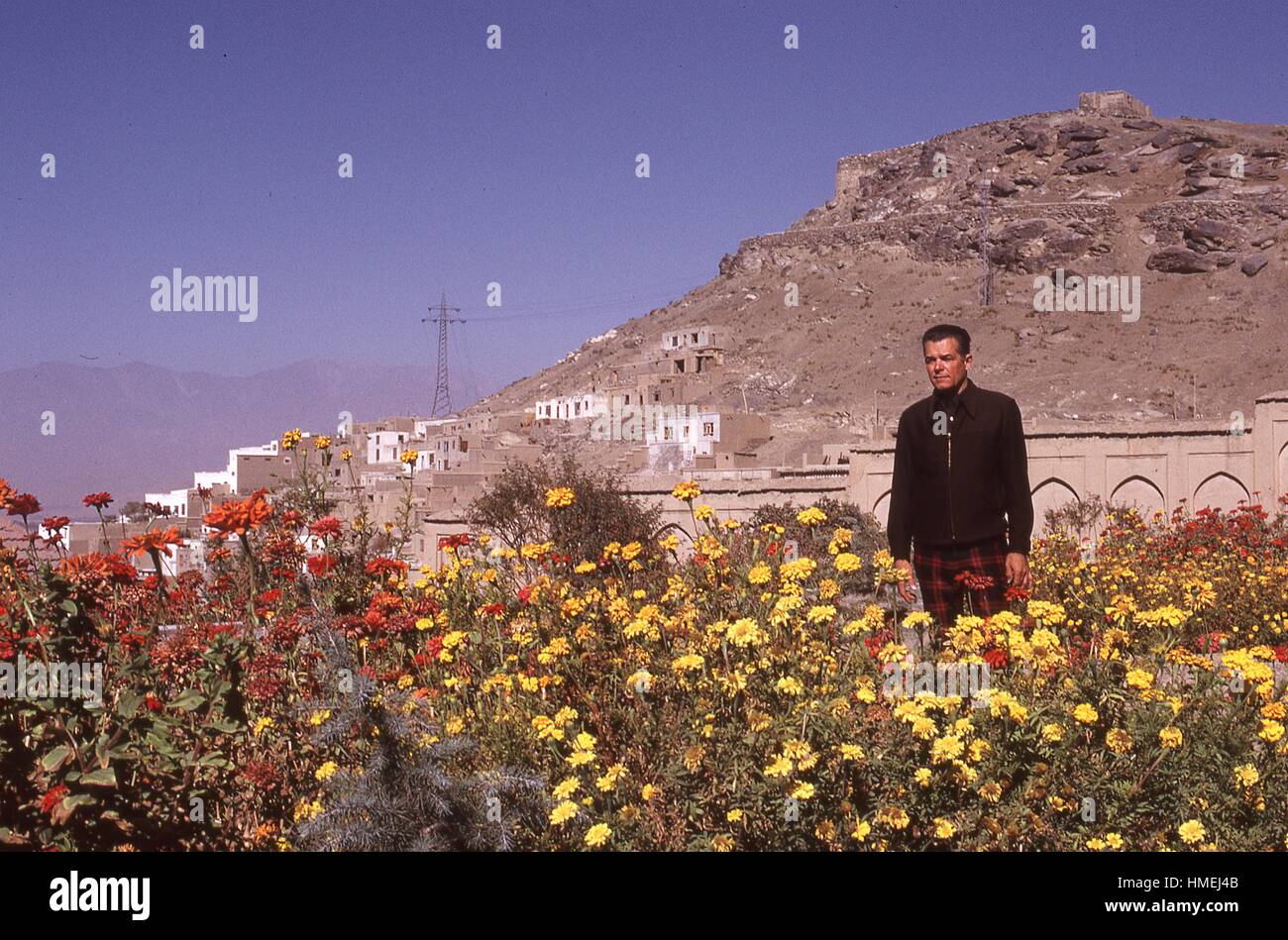 L'homme occidental pose parmi les fleurs de souci dans les jardins de Babour, parc historique connu sous le nom de Bagh-e Babur, situé dans la région de Kaboul, Afghanistan. Novembre, 1973. Banque D'Images