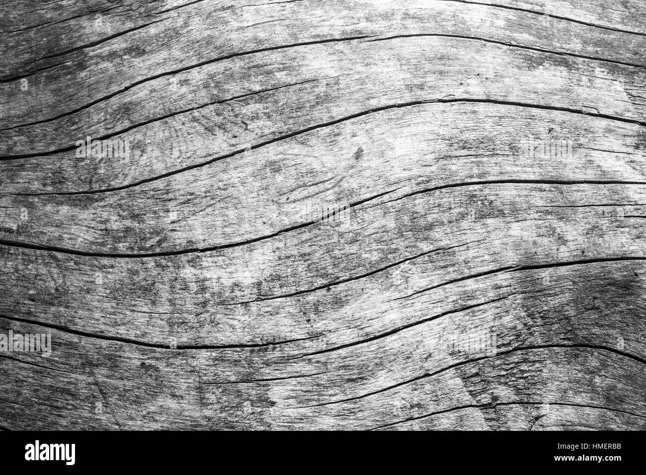 Texture de grain de bois naturel en noir et blanc Banque D'Images