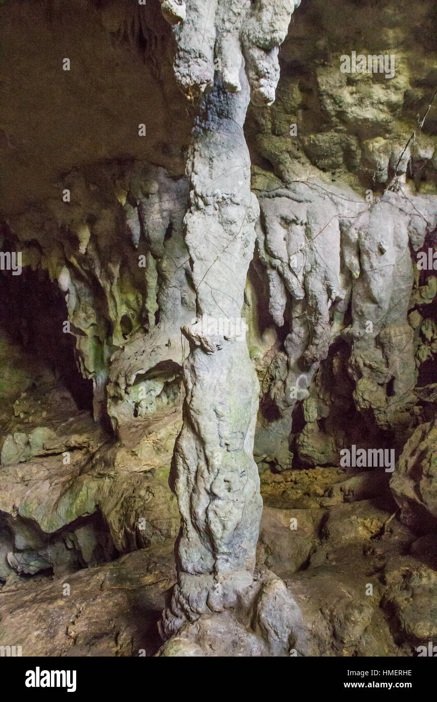 Dans la colonne de calcaire CUEVA VENTANA, ARECIBO, PUERTO RICO - circa 2015, janvier. Banque D'Images