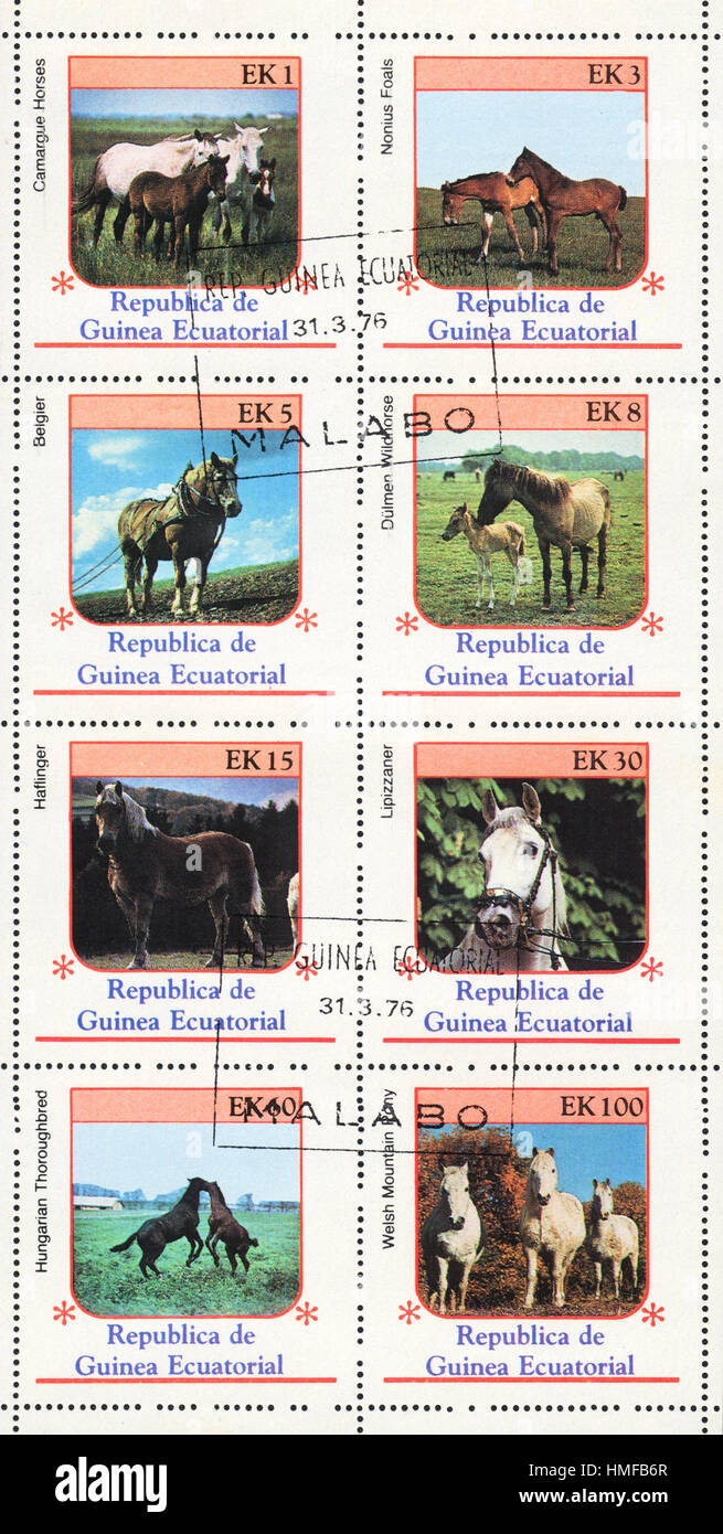 Un timbre-poste imprimé en Guinée équatoriale montre races de chevaux , circa 1976 Banque D'Images