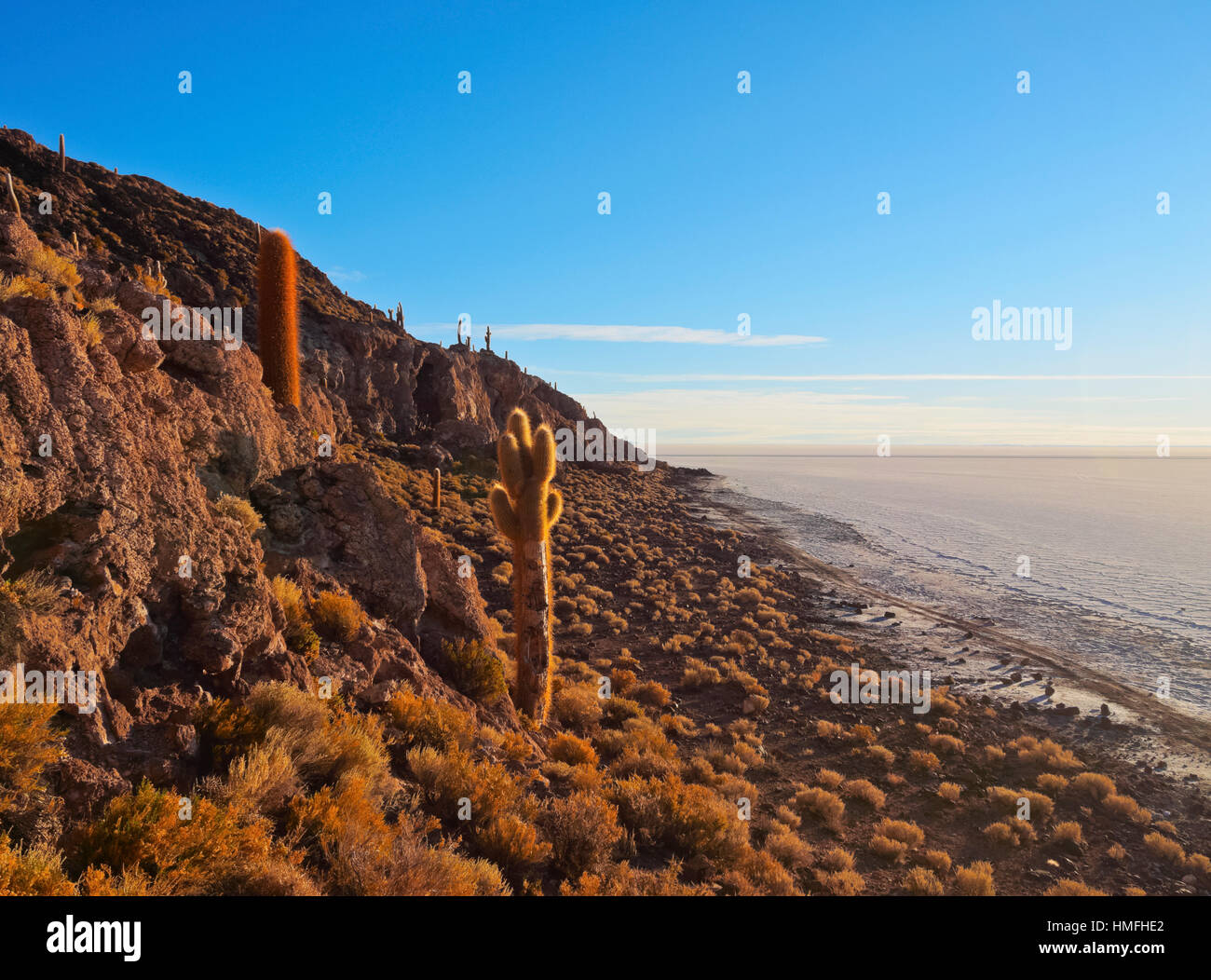 Voir l'île de Incahuasi avec son gigantesque cactus, Salar de Uyuni, Daniel Campos, Département de Potosí Province, Bolivie Banque D'Images