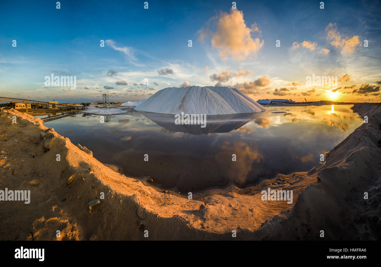 La production de sel de mer naturel de Las Coloradas, Yucatan, Mexique Banque D'Images