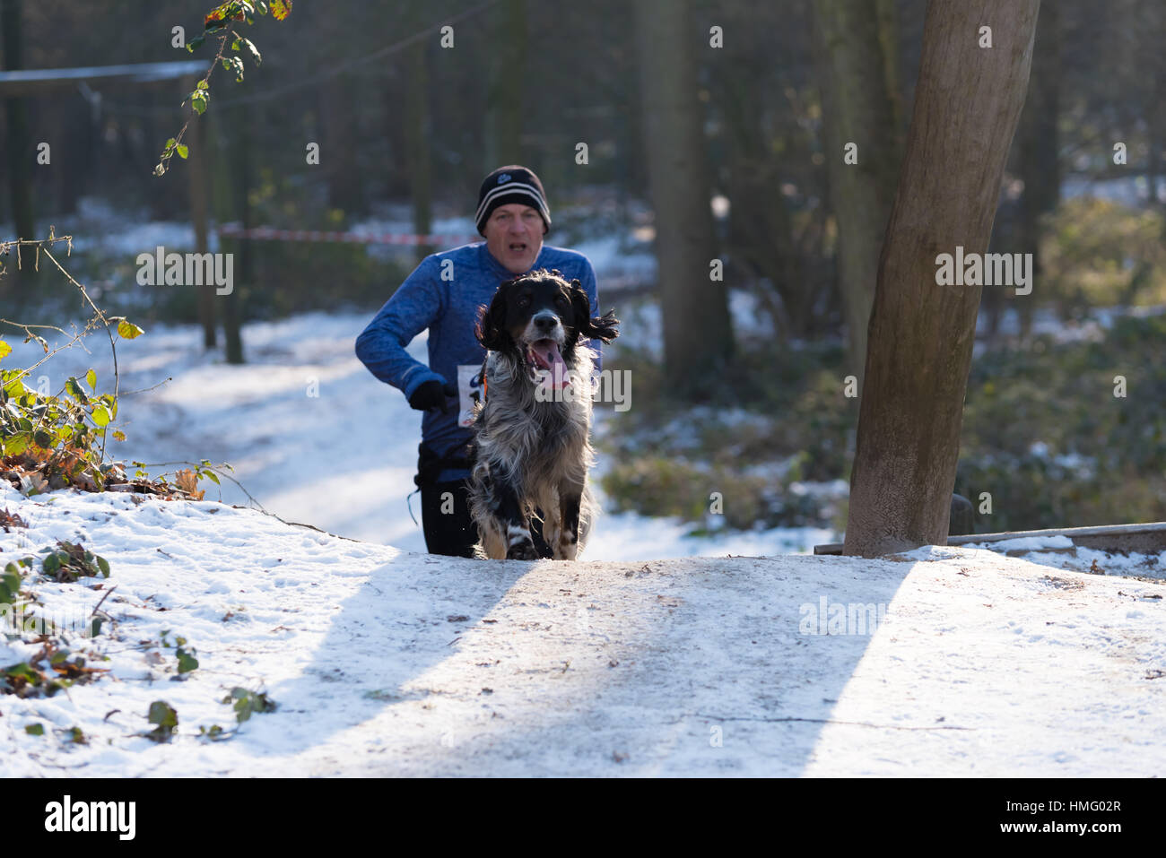 OLDENZAAL, Pays-Bas - le 22 janvier 2017 : homme inconnu canicross s'exécutant dans une forêt blanche neige Banque D'Images